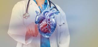 Cardiology