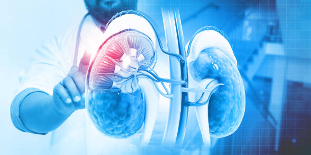 Urology